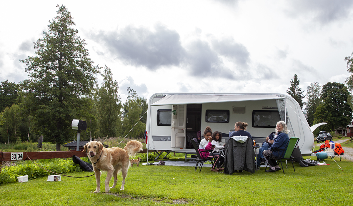 God morgon, säger retrievern Leia. Familjen Sirén-Blomgren-Ahmed är husvagnscampare sedan många år, och tvekar inte om naturens läkande krafter.