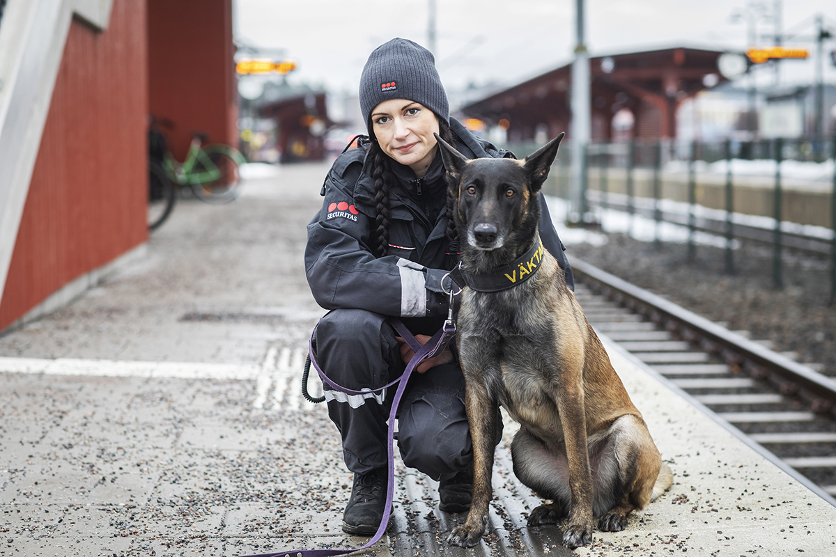 Jobbarkompisar – Moa Petersdotter och hennes hund Jura. Foto: Pernilla Ahlsén